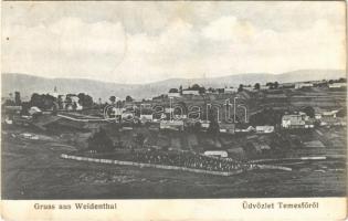 Temesfő, Weidenthal, Brebu Nou, Vaidental; látkép temetővel / panorama view with cemetery. Photographie von R. Speck