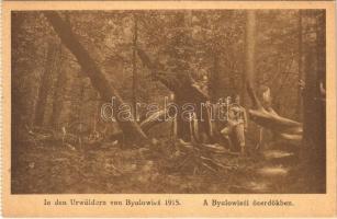 In der Urwäldern von Byalowies 1915 / A Byalowiesi őserdőkben / WWI Austro-Hungarian K.u.K. military, soldiers in the primeval forest of Bialowieza (képeslapfüzetből / from postcard booklet)
