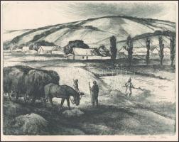 Zsoldos Nagy Illés (?-?): Réten. Rézkarc, papír, jelzett, 22,5×29,5 cm