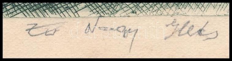 Zsoldos Nagy Illés (?-?): Réten. Rézkarc, papír, jelzett, 22,5×29,5 cm