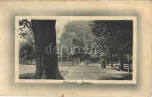 1913 Kolozsvár, Cluj; Fasor. Rigó Árpád utóda kiadása / promenade (EB)