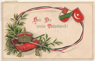 1916 Heil Dir mein Vaterland! / WWI Austro-Hungarian K.u.K. military, Central Powers propaganda. S.V.D. Serie 3059/2. litho (EM)