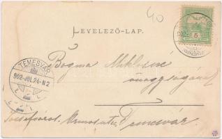 1902 Feketehalom, Zeiden, Codlea; Schulfestplatz, Neue Schule / új iskola és az iskolai fesztiváltér...