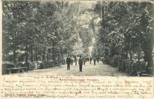 1901 Torda, Turda; Széchenyi liget. Füssy és Sztupjár kiadása / park