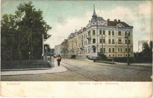 1908 Temesvár, Timisoara; Gyárváros, Liget út / Fabric, street  (EK)