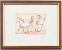 Kiss Péter (1957-): Lovak. Rézkarc, papír, jelzett. Számozott: 66/100. Üvegezett fa keretben. 8,5x12...