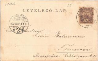 1900 Anina, Stájerlakanina, Stájerlak, Steierdorf; vasgyár, iparvasút / iron works, factory, industr...