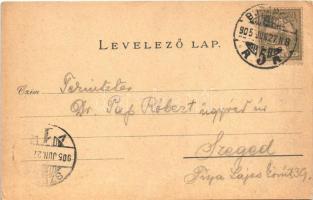 1905 Budapest VIII. Hotel Pannonia szálloda reklámlapja, belsők. Art Nouveau, floral (EK)