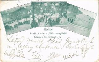 1904 Budapest I. Buzik András Diófa vendéglője, belső, kert pincérekkel. Karácsonyi utca 17. (EB)