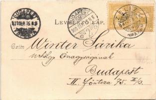 1900 Budapest VIII. Ferenc József tanítók háza (EK)