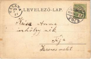 1904 Budapest, Erzsébet híd. photo (fa)