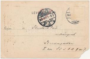 1902 Gyula, Körös-part (b)