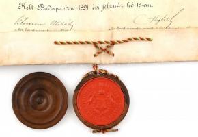 1891 Mérnöki diploma kecskebőrön, függő viaszpecséttel 62x44 cm