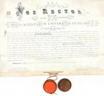 1907 Jogi, jogász diploma kecskebőrön, függő viaszpecséttel Ponori Török (Thewrewk ) Aurél (1842-1912)orvos aláírásával 62x44 cm
