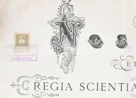 1907 Jogi, jogász diploma kecskebőrön, függő viaszpecséttel Ponori Török (Thewrewk ) Aurél (1842-191...