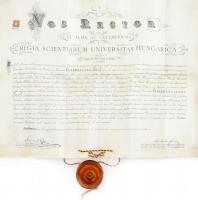1907 Jogi, jogász diploma kecskebőrön, függő viaszpecséttel (kissé sérült) 44x64 cm