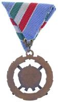 1979. "Fegyverbarátságért Érdemérem bronz fokozata" zománcozott, Br kitüntetés, eredeti to...