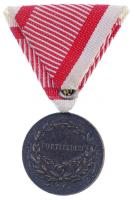 1917. Károly Bronz Vitézségi Érem Br kitüntetés mellszalagon. Szign.: Kautsch T:2,2- patina Hungary 1917. Bronze Gallantry Medal Br decoration with ribbon. Sign.: Kautsch C:XF,VF patina NMK 310.