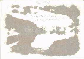 1938 Mai, Inspektionsreise, entlang der Westwaffe / Hitler and his military officers. photo (gluemar...