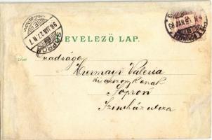 1898 (Vorläufer) Budapest, Császár fürdő, Ferenc József rakpart és Gellérthegy. Kunstanstalt Rosenbl...