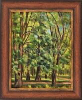 Jelzés nélkül: Erdőrészlet. Olaj, karton. Fa keretben. 33x27 cm