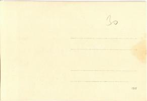 Meztelen erotikus hölgy / Erotic nude lady. photo