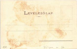 Zólyom, Zvolen; vár. Lechnitzky O. fénynyomdája kiadása / Zvolensky hrad / castle (fl)