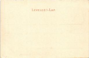 Zólyom, Zvolen; vár. Özv. Löwy Samuné kiadása / Zvolensky hrad / castle (EK)