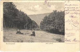 1909 Kovácspatak, Kovacov; Ilona pihenő. Wallfisch S. kiadása / forest + "KOVÁCSPATAK POSTAI ÜGYN." (EB)