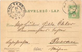 1901 Magyaróvár, Mosonmagyaróvár; Kálnoki (Máriakálnok) rév, komp. A. Kumpf kiadása