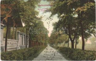 1905 Székesfehérvár, Zichy liget, Ligetsor. Divald Károly 1046. sz. (r)