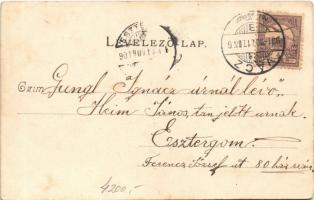 1901 Vác, Korcsolyacsarnok. Divald Károly 356. sz. (fl)