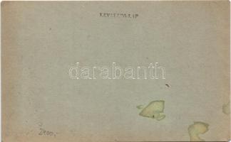 Vác, Piarista gimnázium (EM)