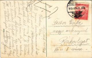 1918 Újvidék, Neusatz, Novi Sad; Pétervárad vár, "IMRE" gőzhajó, híd / Grad Petrovaradin /...