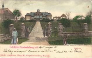 1905 Szatmárhegy, Viile Satu Mare; Bakó villa. Löwy M. kiadása / villa (fa)