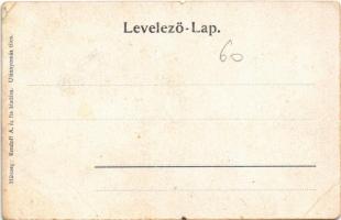 Szacsal, Sacel; Báró Nopcsa kastély. Kendoff A. és fia kiadása / castle (kis szakadások / small tear...