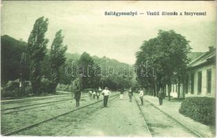 Szilágysomlyó, Simleu Silvaniei; vasútállomás és fenyves / railway station and pine forest
