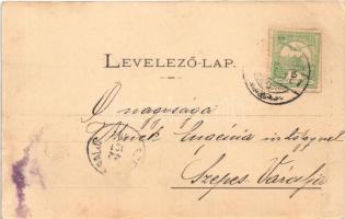 1902 Eperjes, Presov (?); nyaraló, park, hinta. Fénynyomat Divald műintézetéből / villa, park, swing...