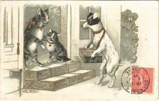 1907 Kutya és macskák / Dog with cats. litho + Francois Dony & Cie Vetements pour Hommes & Enfants Grenoble. TCV card