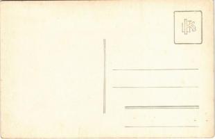 Bevonulás, díszkapu magyar zászlókkal, címerrel és "Isten hozott" felirattal / entry of th...