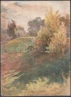 Jelzés nélkül, 1924 okt. datálással balra lent: Őszi táj. Akvarell, papír, lap alján apró szakadással, 33,5x24,5 cm