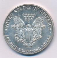 Amerikai Egyesült Államok 1987. 1 Uncia Ag "Liberty" tokban (39mm/0.999/31,49g) T:1- patin...