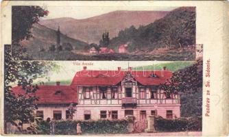 1911 Sidonie, Svatá Sidonie; forest, Villa Amalie, hotel + "HŐLAK - TRENCSÉNTEPLICZ - UNG. HRADISCH 424" vasúti mozgóposta bélyegző (fa)