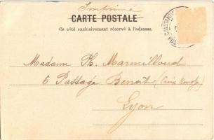 1906 Constantinople, Istanbul; Les Chiens errant de Constantinople / Turkish folklore, group of dogs...