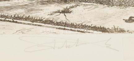 Takáts Márton (1971-): "Budapest, hommage á Piranesi" IX, Nyugati pu.. Rézkarc, papír, jel...