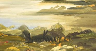 Olvashatatlan jelzéssel: Tanya malommal. Olaj, vászon. Fa keretben, 47,5×68 cm