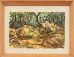 Janik F jelzéssel: Erdőbelső. Akvarell, papír. Üvegezett fa keretben, 17×27,5 cm