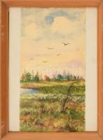 Janik F jelzéssel: Vízparti táj. Akvarell, papír. Üvegezett fa keretben, 33x17 cm