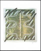 Aknay János (1949-), Bereznay Péter (1955-), Gubis Mihály (1948-2006): Aknay, Bereznay, Gubis. Művés...