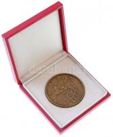 Csúcs Viktória (1934-) DN "Sárköz" kétoldalas Br emlékérem, eredeti tokban (60mm) T:1-